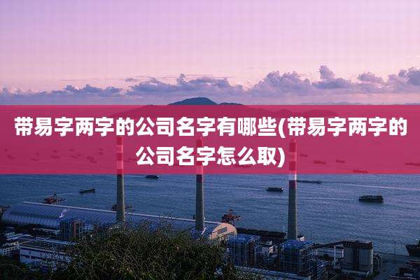 带易字两字的公司名字有哪些(带易字两字的公司名字怎么取)