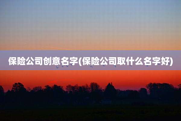 保险公司创意名字(保险公司取什么名字好)
