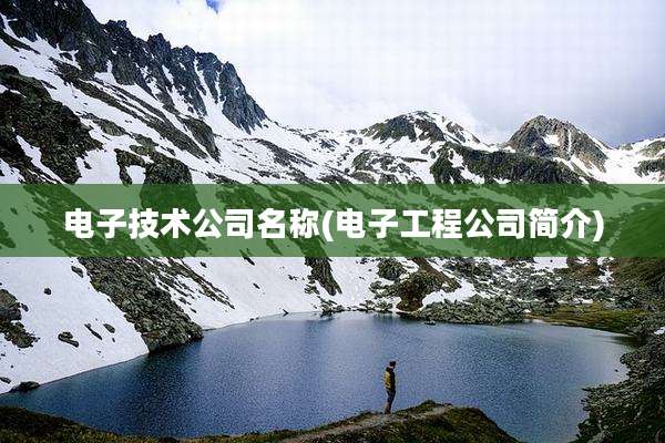 电子技术公司名称(电子工程公司简介)