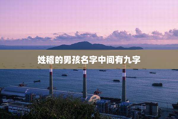 姓稽的男孩名字中间有九字