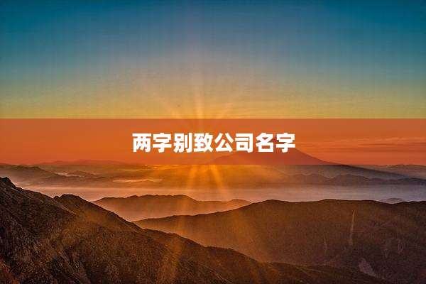 两字别致公司名字
