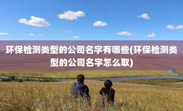 环保检测类型的公司名字有哪些(环保检测类型的公司名字怎么取)