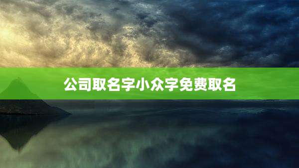 公司取名字小众字免费取名