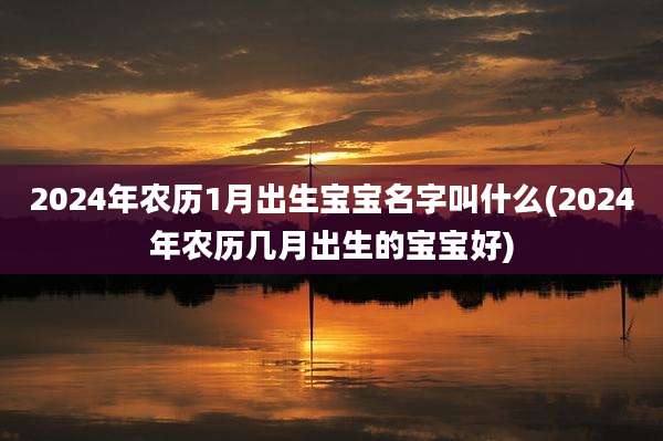 2024年农历1月出生宝宝名字叫什么(2024年农历几月出生的宝宝好)