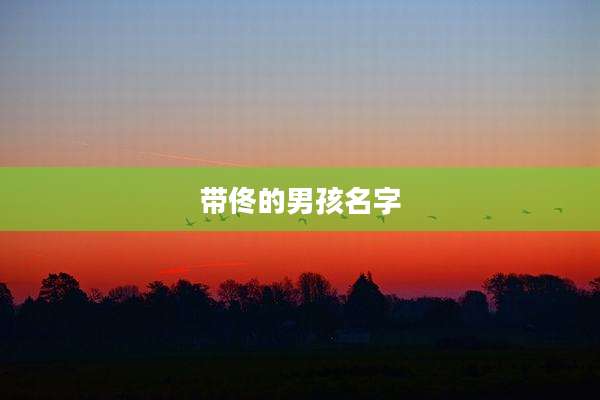 带佟的男孩名字