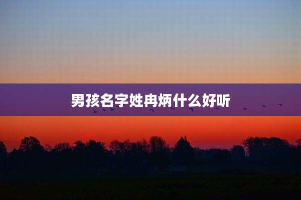 男孩名字姓冉炳什么好听
