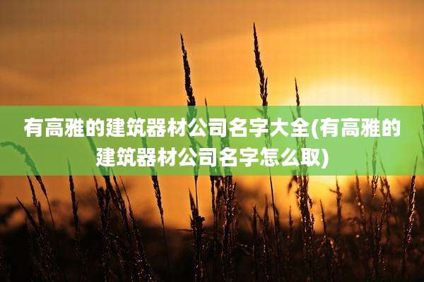 有高雅的建筑器材公司名字大全(有高雅的建筑器材公司名字怎么取)