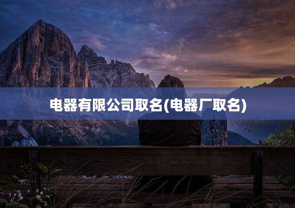 电器有限公司取名(电器厂取名)