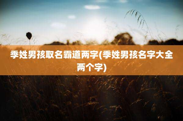 季姓男孩取名霸道两字(季姓男孩名字大全两个字)