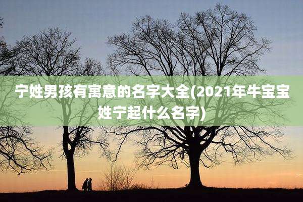 宁姓男孩有寓意的名字大全(2021年牛宝宝姓宁起什么名字)