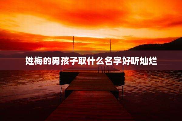 姓梅的男孩子取什么名字好听灿烂