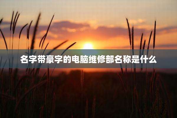 名字带豪字的电脑维修部名称是什么