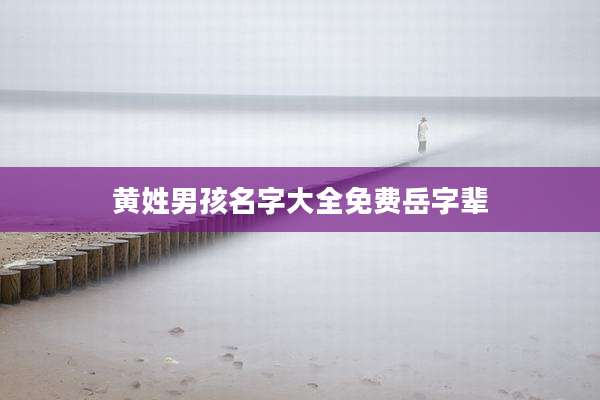 黄姓男孩名字大全免费岳字辈