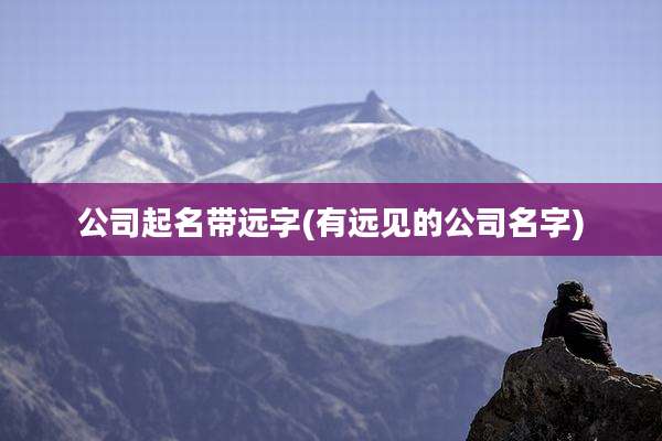 公司起名带远字(有远见的公司名字)