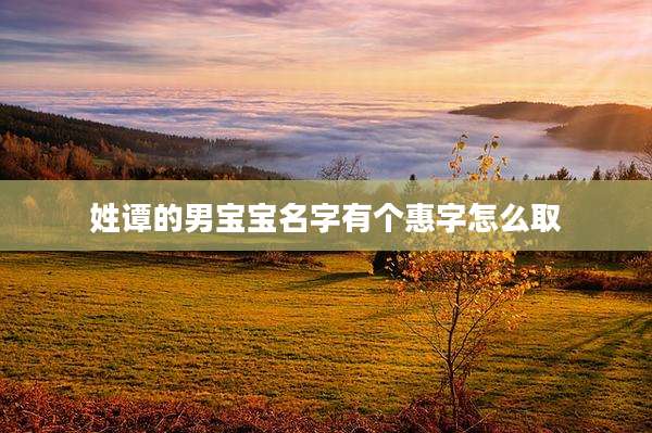 姓谭的男宝宝名字有个惠字怎么取