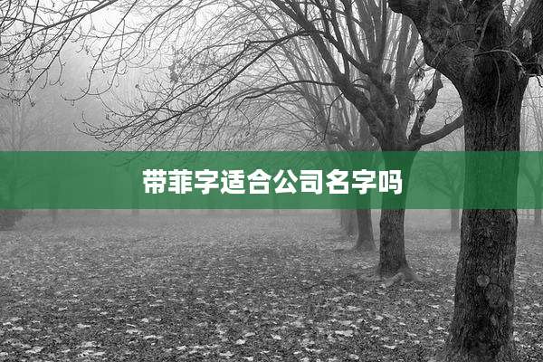 带菲字适合公司名字吗