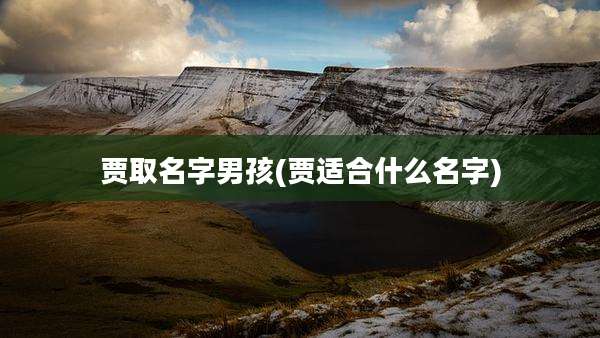 贾取名字男孩(贾适合什么名字)