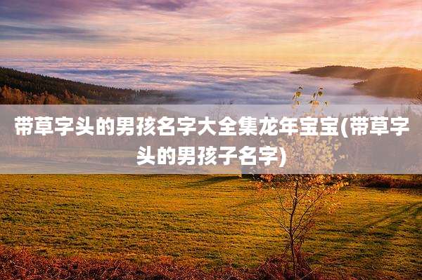 带草字头的男孩名字大全集龙年宝宝(带草字头的男孩子名字)