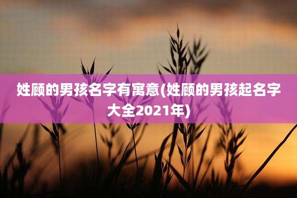 姓顾的男孩名字有寓意(姓顾的男孩起名字大全2021年)