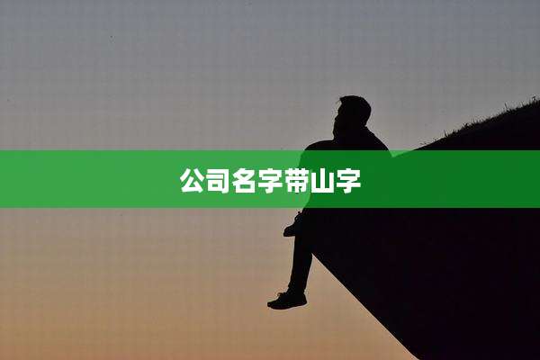 公司名字带山字