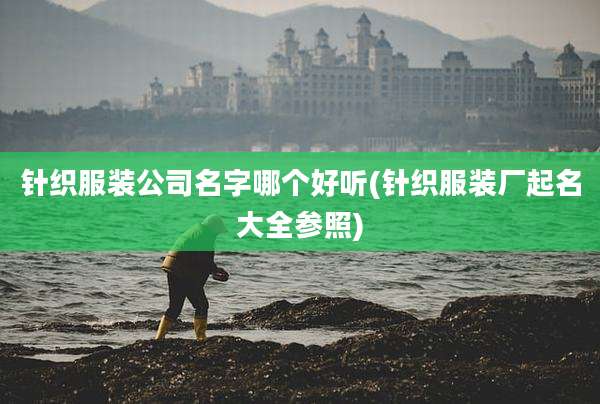 针织服装公司名字哪个好听(针织服装厂起名大全参照)