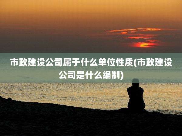 市政建设公司属于什么单位性质(市政建设公司是什么编制)