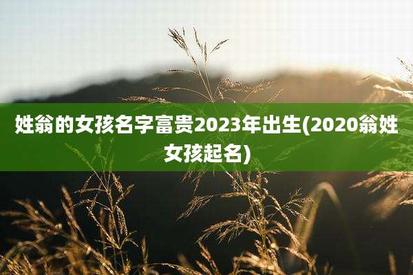 姓翁的女孩名字富贵2023年出生(2020翁姓女孩起名)