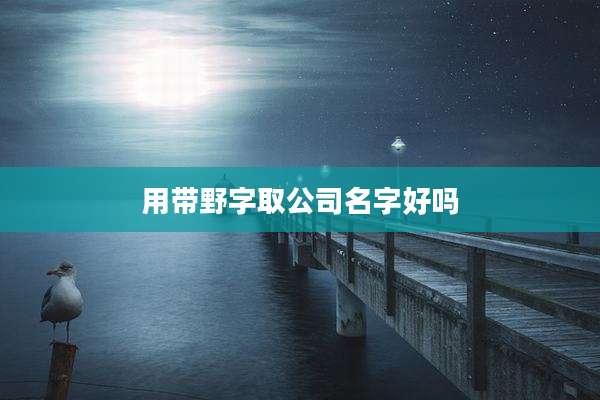 用带野字取公司名字好吗
