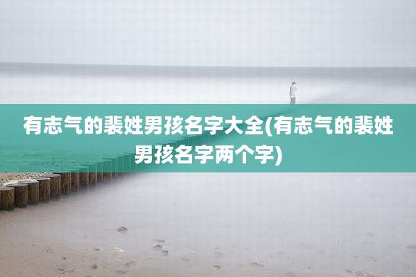 有志气的裴姓男孩名字大全(有志气的裴姓男孩名字两个字)