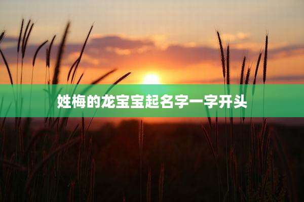 姓梅的龙宝宝起名字一字开头