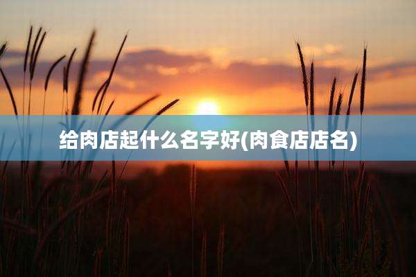 给肉店起什么名字好(肉食店店名)