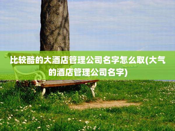 比较酷的大酒店管理公司名字怎么取(大气的酒店管理公司名字)