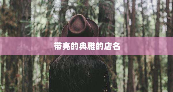 带亮的典雅的店名