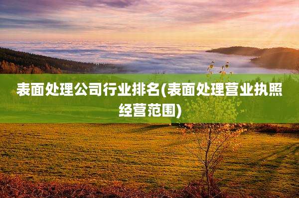 表面处理公司行业排名(表面处理营业执照经营范围)