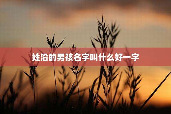 姓沿的男孩名字叫什么好一字
