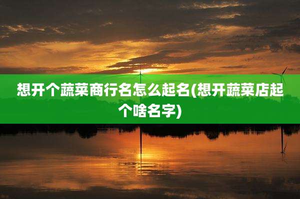 想开个蔬菜商行名怎么起名(想开蔬菜店起个啥名字)