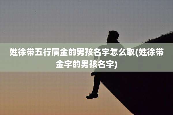 姓徐带五行属金的男孩名字怎么取(姓徐带金字的男孩名字)
