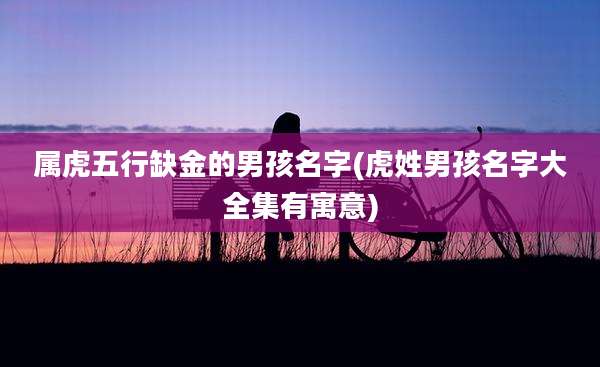属虎五行缺金的男孩名字(虎姓男孩名字大全集有寓意)