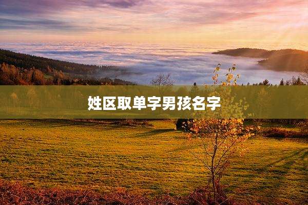 姓区取单字男孩名字
