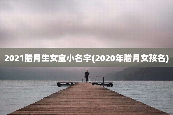 2021腊月生女宝小名字(2020年腊月女孩名)
