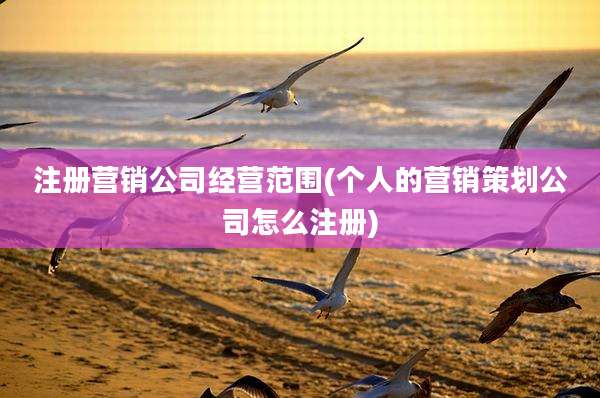 注册营销公司经营范围(个人的营销策划公司怎么注册)
