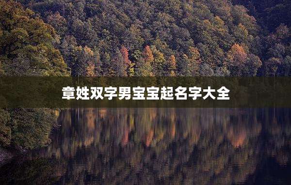 章姓双字男宝宝起名字大全