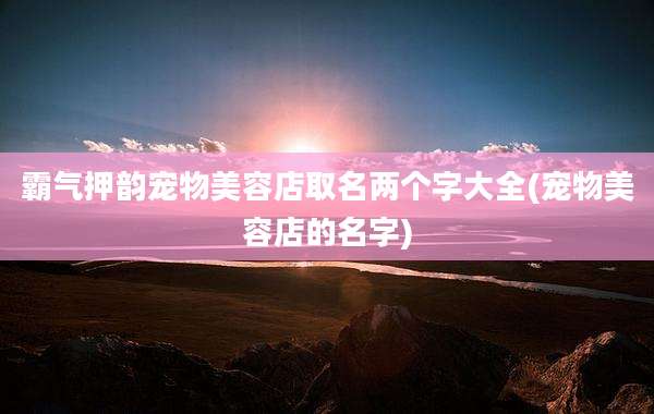 霸气押韵宠物美容店取名两个字大全(宠物美容店的名字)