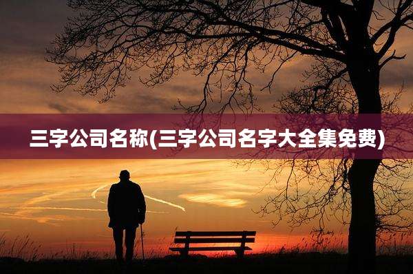 三字公司名称(三字公司名字大全集免费)