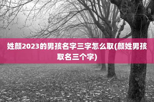 姓颜2023的男孩名字三字怎么取(颜姓男孩取名三个字)