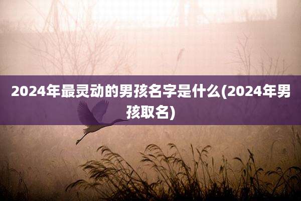 2024年最灵动的男孩名字是什么(2024年男孩取名)
