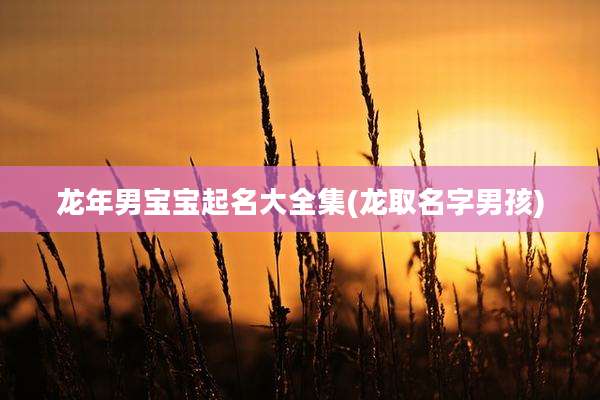 龙年男宝宝起名大全集(龙取名字男孩)