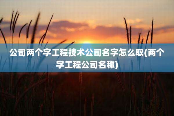公司两个字工程技术公司名字怎么取(两个字工程公司名称)