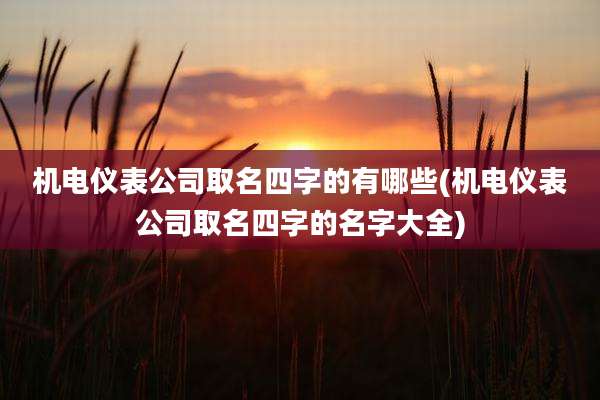 机电仪表公司取名四字的有哪些(机电仪表公司取名四字的名字大全)