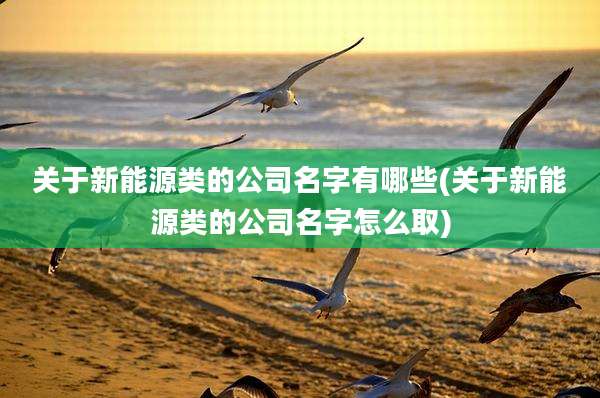 关于新能源类的公司名字有哪些(关于新能源类的公司名字怎么取)